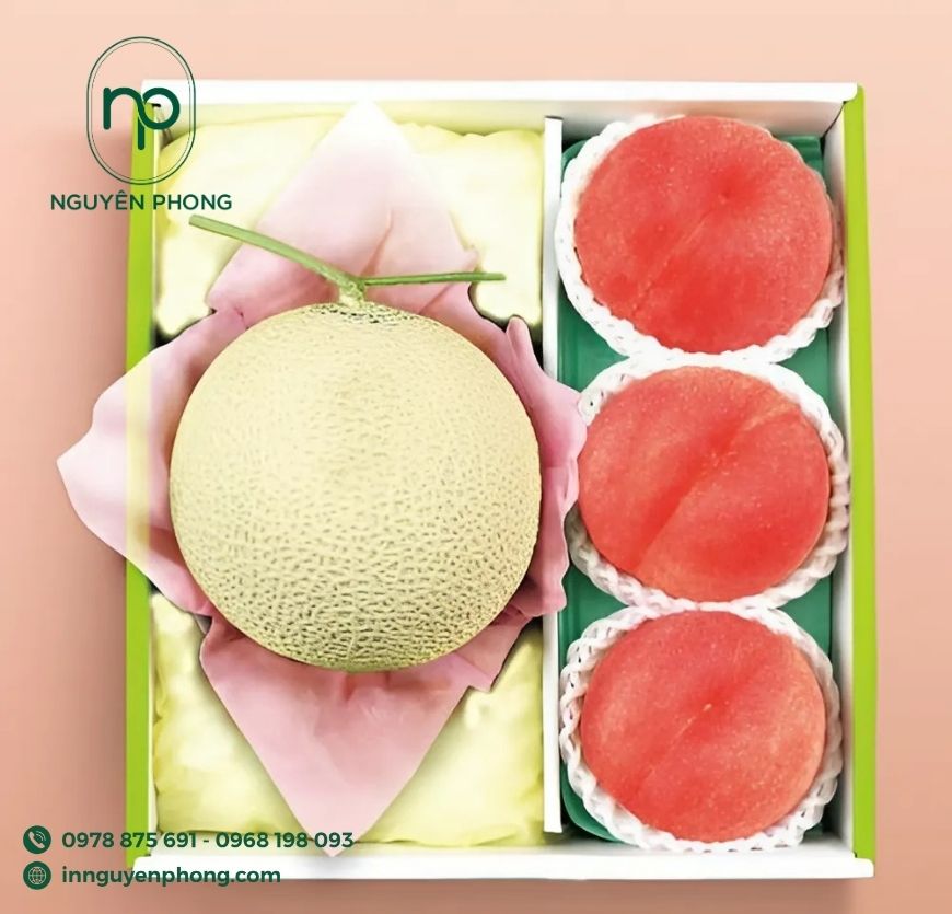 mau-hop-giay-dung-dua-luoi-chia-ngan